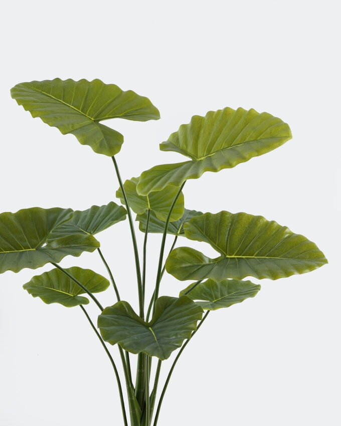 Artificial Tree 70*70*110cm Alocasia macrorrhiza in pp pot/*10 lvs GS-10724001 Tree&Plant 3,000+ sqm showroom with thousands of artificial flowers, plants & trees ready for global sourcing.