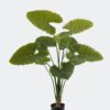 Artificial Tree 70*70*110cm Alocasia macrorrhiza in pp pot/*10 lvs GS-10724001 Tree&Plant 3,000+ sqm showroom with thousands of artificial flowers, plants & trees ready for global sourcing.