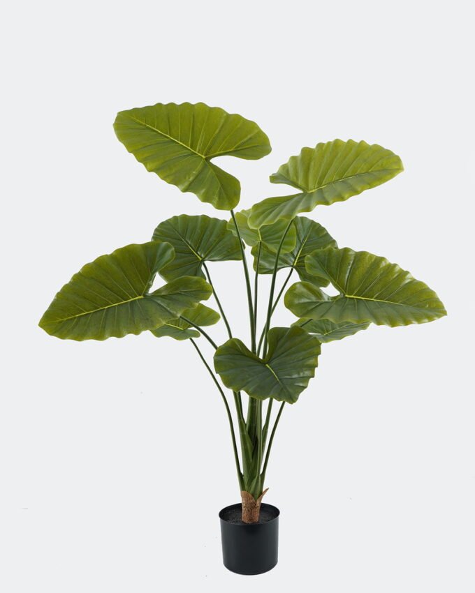 Artificial Tree 70*70*110cm Alocasia macrorrhiza in pp pot/*10 lvs GS-10724001 Tree&Plant 3,000+ sqm showroom with thousands of artificial flowers, plants & trees ready for global sourcing.