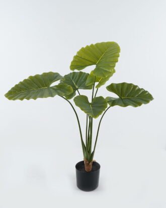 Artificial Tree 65*65*90cm Alocasia macrorrhiza in pp pot/*6 lvs GS-10724002 Tree&Plant 3,000+ sqm showroom with thousands of artificial flowers, plants & trees ready for global sourcing.