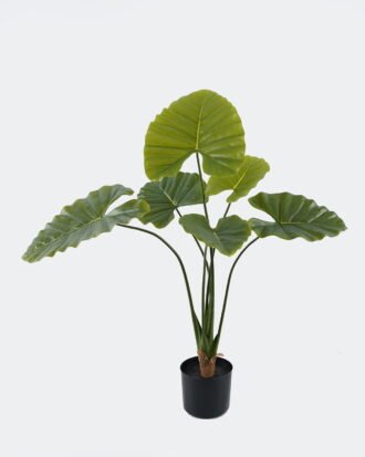 Artificial Tree 65*65*90cm Alocasia macrorrhiza in pp pot/*6 lvs GS-10724002 Tree&Plant 3,000+ sqm showroom with thousands of artificial flowers, plants & trees ready for global sourcing.