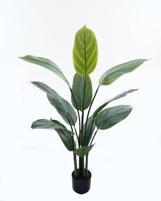 Artificial Tree 70*70*120cm Arrowroot in PP pot/12 lvs GS-30424023 Tree&Plant 3,000+ sqm showroom with thousands of artificial flowers, plants & trees ready for global sourcing.