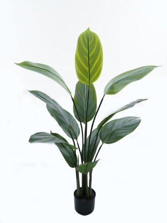 Artificial Tree 70*70*90cm Arrowroot in PP pot/9 lvs GS-30424022 Tree&Plant 3,000+ sqm showroom with thousands of artificial flowers, plants & trees ready for global sourcing.