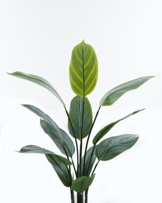 Artificial Tree 70*70*120cm Arrowroot in PP pot/12 lvs GS-30424023 Tree&Plant 3,000+ sqm showroom with thousands of artificial flowers, plants & trees ready for global sourcing.