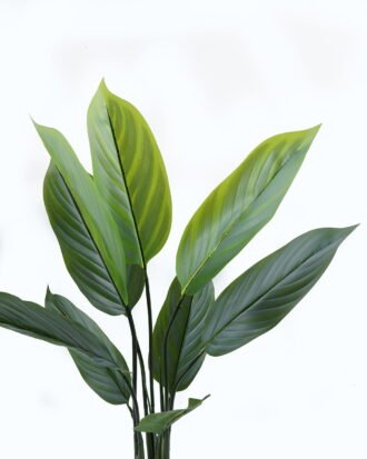 Artificial Tree 70*70*90cm Arrowroot in PP pot/9 lvs GS-30424022 Tree&Plant 3,000+ sqm showroom with thousands of artificial flowers, plants & trees ready for global sourcing.