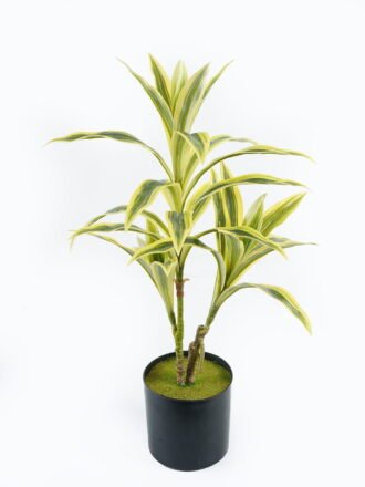 Artificial Tree 90*80*165cm  Fukurokuju tree *3 in PP pot/679 lvs GS-71024017 Tree&Plant 3,000+ sqm showroom with thousands of artificial flowers, plants & trees ready for global sourcing.