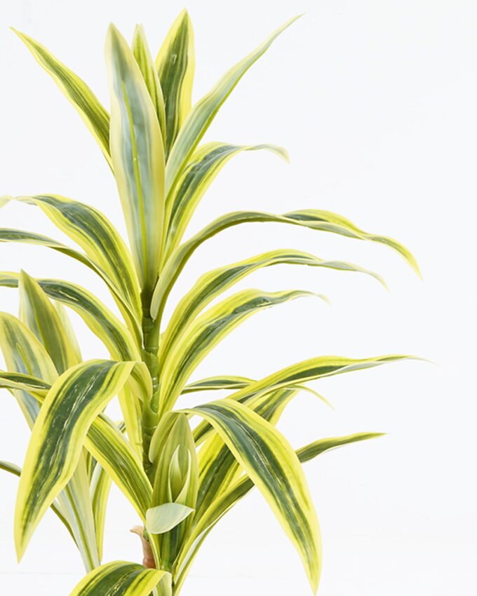 Artificial Tree 40*40*59cm Bamboo *2 in PP pot/28 lvs GS-71024015 2024Jun YeahFlower is one of Chinese leading OEM manufacturers and exporters , supplying the silk flowers, wholesale artificial trees