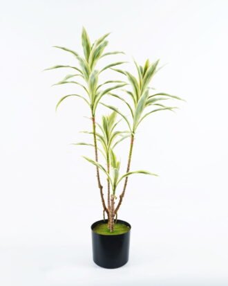 Artificial Tree 50*45*85cm Bamboo *2 in PP pot/87 lvs GS-71024014 2024Jun YeahFlower is one of Chinese leading OEM manufacturers and exporters , supplying the silk flowers, wholesale artificial trees