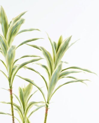 Artificial Tree 50*45*85cm Bamboo *2 in PP pot/87 lvs GS-71024014 2024Jun YeahFlower is one of Chinese leading OEM manufacturers and exporters , supplying the silk flowers, wholesale artificial trees