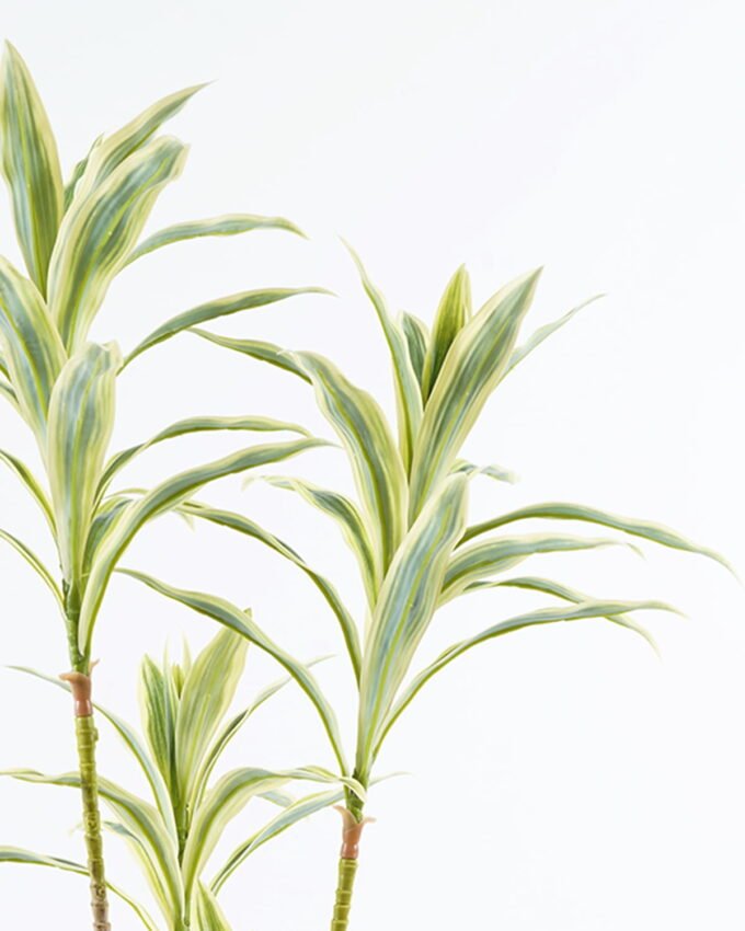 Artificial Tree 50*45*85cm Bamboo *2 in PP pot/87 lvs GS-71024014 2024Jun YeahFlower is one of Chinese leading OEM manufacturers and exporters , supplying the silk flowers, wholesale artificial trees