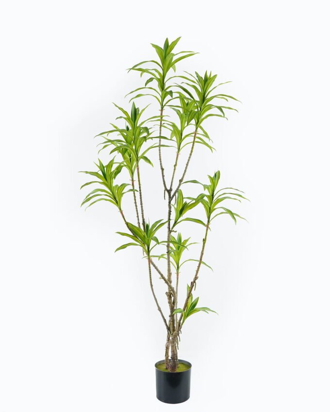Artificial Tree 70*50*166cm Bamboo *3 in PP pot/130 lvs GS-71024010 2024Jun YeahFlower is one of Chinese leading OEM manufacturers and exporters , supplying the silk flowers, wholesale artificial trees