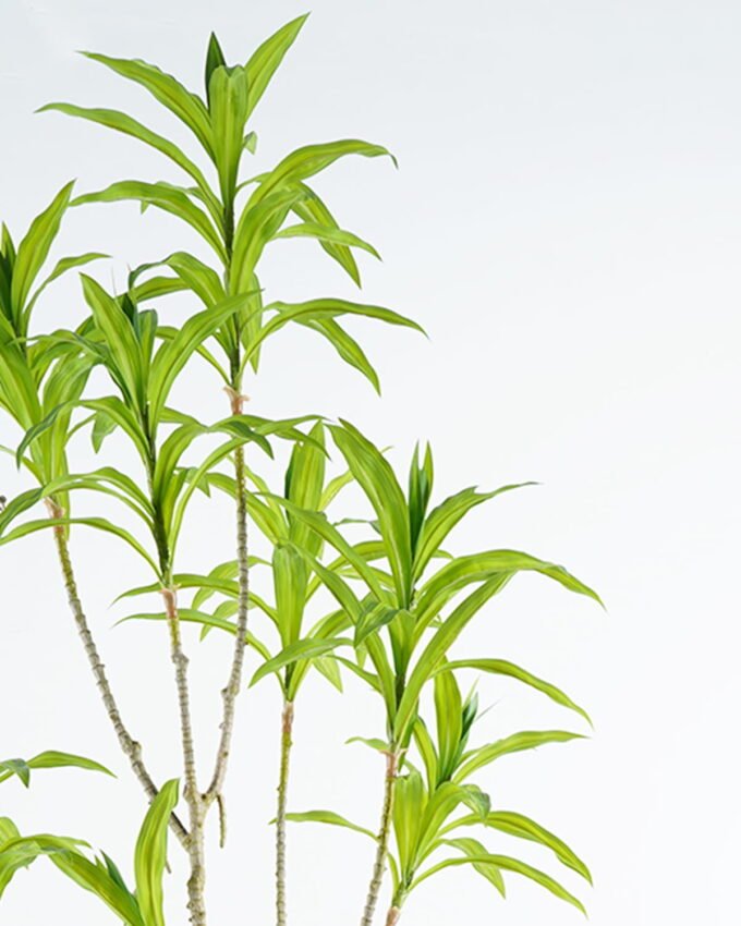 Artificial Tree 70*50*166cm Bamboo *3 in PP pot/130 lvs GS-71024010 2024Jun YeahFlower is one of Chinese leading OEM manufacturers and exporters , supplying the silk flowers, wholesale artificial trees