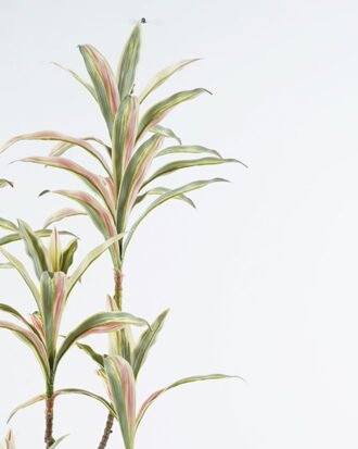 Artificial Tree 60*45*112cm Bamboo *3 in PP pot/59 lvs GS-71024012 2024Jun YeahFlower is one of Chinese leading OEM manufacturers and exporters , supplying the silk flowers, wholesale artificial trees