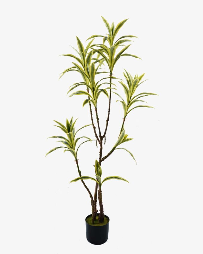 Artificial Tree 60*55*135cm Bamboo *3 in PP pot/85 lvs GS-71024011 2024Jun YeahFlower is one of Chinese leading OEM manufacturers and exporters , supplying the silk flowers, wholesale artificial trees