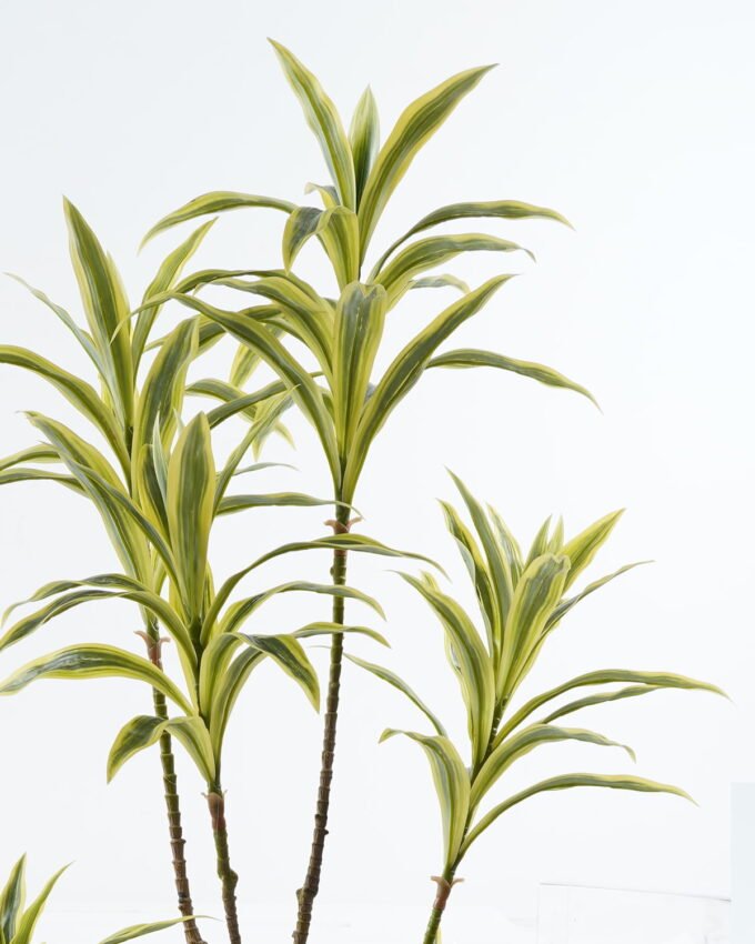 Artificial Tree 60*55*135cm Bamboo *3 in PP pot/85 lvs GS-71024011 2024Jun YeahFlower is one of Chinese leading OEM manufacturers and exporters , supplying the silk flowers, wholesale artificial trees