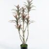 Artificial Tree 70*50*108cm Bamboo *4 in PP pot/87 lvs GS-71024013 2024Jun YeahFlower is one of Chinese leading OEM manufacturers and exporters , supplying the silk flowers, wholesale artificial trees