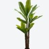 Artificial Tree 100*100*250cm Banana tree *3 in PP pot/23 lvs GS-30424033KD 2024Jul YeahFlower is one of Chinese leading OEM manufacturers and exporters , supplying the silk flowers, wholesale artificial trees