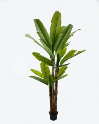 Artificial Tree 110*110*280cm Banana tree *3 in PP pot/24 lvs GS-30424032KD 2024Jul YeahFlower is one of Chinese leading OEM manufacturers and exporters , supplying the silk flowers, wholesale artificial trees Artificial Tree 110*110*280cm Banana tree *3 in PP pot/24 lvs GS-30424032KD 2024Jul YeahFlower is one of Chinese leading OEM manufacturers and exporters , supplying the silk flowers, wholesale artificial trees