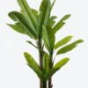 Artificial Tree Banana tree 3 in PP pot 24 lvs GS-30424032KD_3 Artificial Tree 110*110*280cm Banana tree *3 in PP pot/24 lvs GS-30424032KD 2024Jul YeahFlower is one of Chinese leading OEM manufacturers and exporters , supplying the silk flowers, wholesale artificial trees