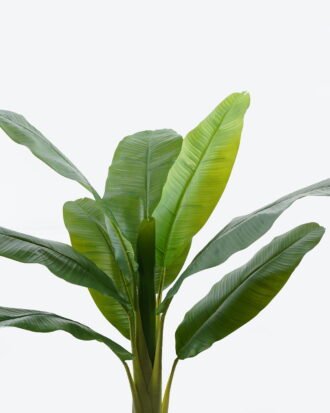 Artificial Tree 70*70*120cm Banana tree in PP pot GS-29824016 2024Jun YeahFlower is one of Chinese leading OEM manufacturers and exporters , supplying the silk flowers, wholesale artificial trees