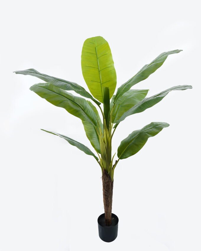 Artificial Tree 95*95*160cm Banana tree in PP pot GS-29824017 2024Jun YeahFlower is one of Chinese leading OEM manufacturers and exporters , supplying the silk flowers, wholesale artificial trees