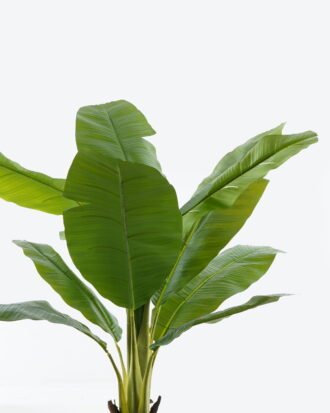 Artificial Tree 105*105*180cm Banana tree in PP pot GS-29824018 2024Jun YeahFlower is one of Chinese leading OEM manufacturers and exporters , supplying the silk flowers, wholesale artificial trees