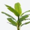 Artificial Tree 120*120*210cm Banana tree in PP pot GS-29824019KD 2024Jun YeahFlower is one of Chinese leading OEM manufacturers and exporters , supplying the silk flowers, wholesale artificial trees