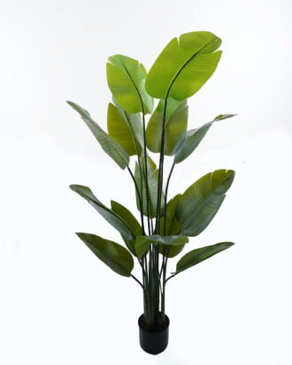 Artificial Tree 86*150cm Canna *5 in PP pot/15 lvs GS-30424012 Tree&Plant 3,000+ sqm showroom with thousands of artificial flowers, plants & trees ready for global sourcing.