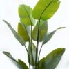 Artificial Tree Canna 5 in PP pot 15 lvs GS-30424012_5 Artificial Tree 86*150cm Canna *5 in PP pot/15 lvs GS-30424012 2024Jun YeahFlower is one of Chinese leading OEM manufacturers and exporters , supplying the silk flowers, wholesale artificial trees