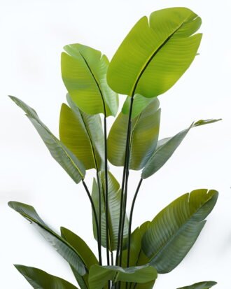 Artificial Tree 86*150cm Canna *5 in PP pot/15 lvs GS-30424012 Tree&Plant 3,000+ sqm showroom with thousands of artificial flowers, plants & trees ready for global sourcing.