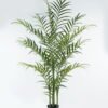 Artificial Tree 85*85*180cm Chamaedorea elegans Mart in PP pot GS-45124006KD 2024Jul YeahFlower is one of Chinese leading OEM manufacturers and exporters , supplying the silk flowers, wholesale artificial trees