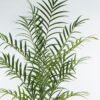 Artificial Tree 85*85*180cm Chamaedorea elegans Mart in PP pot GS-45124006KD 2024Jul YeahFlower is one of Chinese leading OEM manufacturers and exporters , supplying the silk flowers, wholesale artificial trees