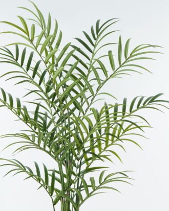 Artificial Tree 55*55*150cm Chamaedorea elegans Mart in PP pot GS-45124007KD 2024Jul YeahFlower is one of Chinese leading OEM manufacturers and exporters , supplying the silk flowers, wholesale artificial trees