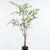 Artificial Tree 80*60*150cm  Fukurokuju tree *3 in PP pot/363 lvs GS-71024019 2024Jun YeahFlower is one of Chinese leading OEM manufacturers and exporters , supplying the silk flowers, wholesale artificial trees