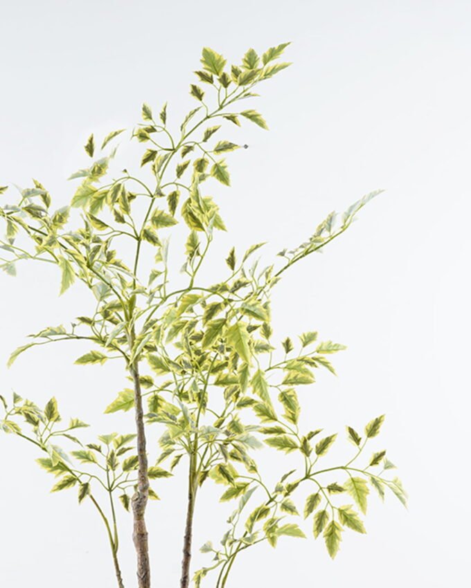 Artificial Tree 80*70*140cm Fukurokuju tree *3 in PP pot/391 lvs GS-71024018 2024Jun YeahFlower is one of Chinese leading OEM manufacturers and exporters , supplying the silk flowers, wholesale artificial trees