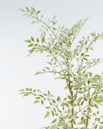 Artificial Tree 90*80*165cm  Fukurokuju tree *3 in PP pot/679 lvs GS-71024017 2024Jun YeahFlower is one of Chinese leading OEM manufacturers and exporters , supplying the silk flowers, wholesale artificial trees