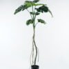 Artificial Tree 100*100*180cm Monstera in pp pot GS-45124001 2024Jul YeahFlower is one of Chinese leading OEM manufacturers and exporters , supplying the silk flowers, wholesale artificial trees