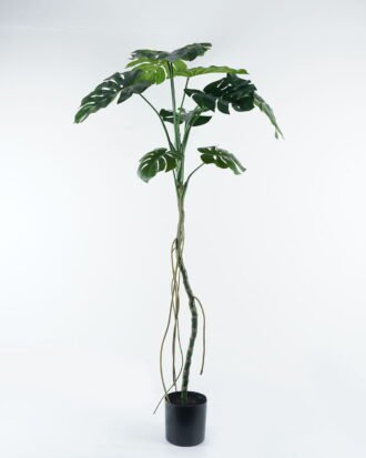 Artificial Tree 100*100*180cm Monstera in pp pot GS-45124001 2024Jul YeahFlower is one of Chinese leading OEM manufacturers and exporters , supplying the silk flowers, wholesale artificial trees Artificial Tree 100*100*180cm Monstera in pp pot GS-45124001 2024Jul YeahFlower is one of Chinese leading OEM manufacturers and exporters , supplying the silk flowers, wholesale artificial trees