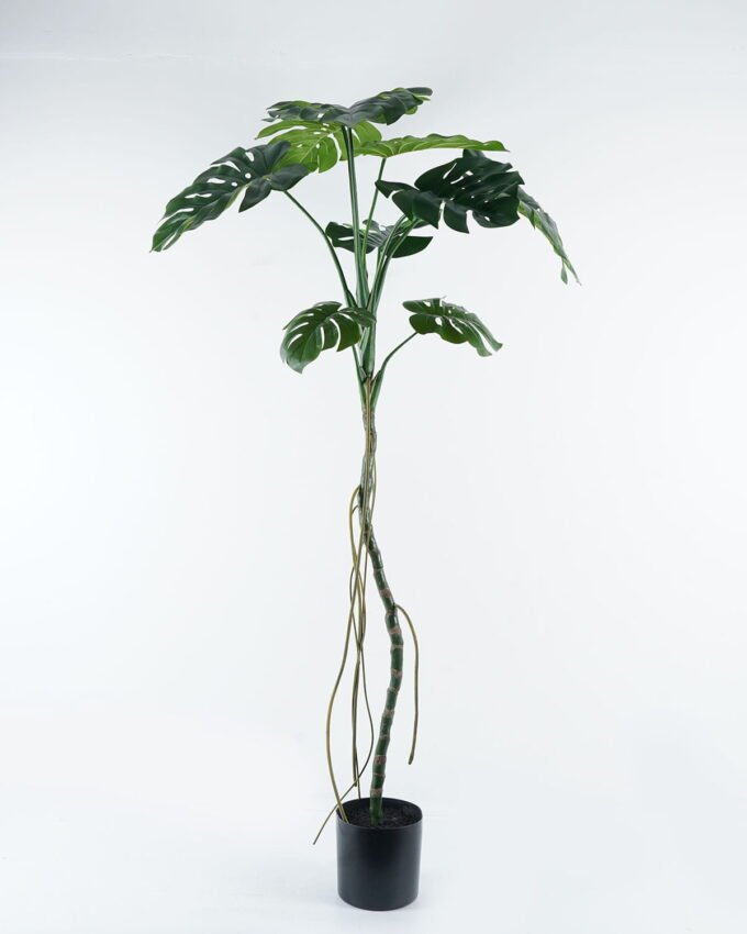 Artificial Tree 100*100*180cm Monstera in pp pot GS-45124001 2024Jul YeahFlower is one of Chinese leading OEM manufacturers and exporters , supplying the silk flowers, wholesale artificial trees