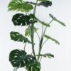 Artificial Tree 100*100*150cm Monstera in pp pot GS-45124002 2024Jul YeahFlower is one of Chinese leading OEM manufacturers and exporters , supplying the silk flowers, wholesale artificial trees