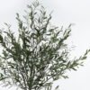 Artificial Tree Olive tree in PP pot 1476 lvs GS-59524008_7 Artificial Tree 120*120*243cm Olive tree in PP pot/1476 lvs GS-59524008 2024Jul YeahFlower is one of Chinese leading OEM manufacturers and exporters , supplying the silk flowers, wholesale artificial trees