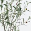 Artificial Tree Olive tree in PP pot 410 lvs GS-59524011_3 Artificial Tree 60*60*125cm Olive tree in PP pot/410 lvs GS-59524011 2024Jul YeahFlower is one of Chinese leading OEM manufacturers and exporters , supplying the silk flowers, wholesale artificial trees