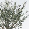 Artificial Tree 110*110*180cm Olive tree in PP pot/984 lvs GS-59524021 2024Jul YeahFlower is one of Chinese leading OEM manufacturers and exporters , supplying the silk flowers, wholesale artificial trees