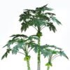 Artificial Tree 80*80*180cm Papaya tree in PP pot/10 lvs GS-48524014 2024Jun YeahFlower is one of Chinese leading OEM manufacturers and exporters , supplying the silk flowers, wholesale artificial trees