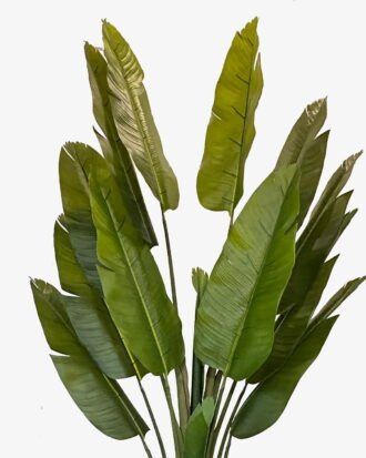 Artificial Tree 145*145*300cm Sterlitzia *2 in PP pot/14 lvs GS-30424037KD 2024Jul YeahFlower is one of Chinese leading OEM manufacturers and exporters , supplying the silk flowers, wholesale artificial trees Artificial Tree 145*145*300cm Sterlitzia *2 in PP pot/14 lvs GS-30424037KD 2024Jul YeahFlower is one of Chinese leading OEM manufacturers and exporters , supplying the silk flowers, wholesale artificial trees