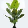 Artificial Tree 80*120cm Sterlitzia *4 in PP pot/12 lvs GS-30424011 2024Jun YeahFlower is one of Chinese leading OEM manufacturers and exporters , supplying the silk flowers, wholesale artificial trees