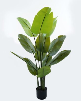 Artificial Tree 80*120cm Sterlitzia *4 in PP pot/12 lvs GS-30424011 Tree&Plant 3,000+ sqm showroom with thousands of artificial flowers, plants & trees ready for global sourcing.