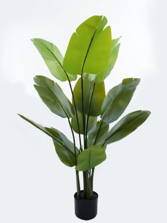Artificial Tree 86*150cm Canna *5 in PP pot/15 lvs GS-30424012 Tree&Plant 3,000+ sqm showroom with thousands of artificial flowers, plants & trees ready for global sourcing.