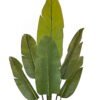 Artificial Tree Sterlitzia in PP pot 9 lvs GS-30424038KD_11 Artificial Tree 140*140*250cm Sterlitzia in PP pot/9 lvs GS-30424038KD 2024Jul YeahFlower is one of Chinese leading OEM manufacturers and exporters , supplying the silk flowers, wholesale artificial trees