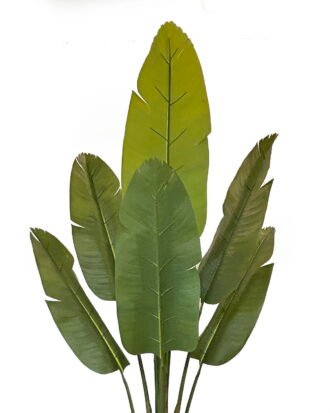 Artificial Tree 140*140*250cm Sterlitzia in PP pot/9 lvs GS-30424038KD 2024Jul YeahFlower is one of Chinese leading OEM manufacturers and exporters , supplying the silk flowers, wholesale artificial trees Artificial Tree 140*140*250cm Sterlitzia in PP pot/9 lvs GS-30424038KD 2024Jul YeahFlower is one of Chinese leading OEM manufacturers and exporters , supplying the silk flowers, wholesale artificial trees